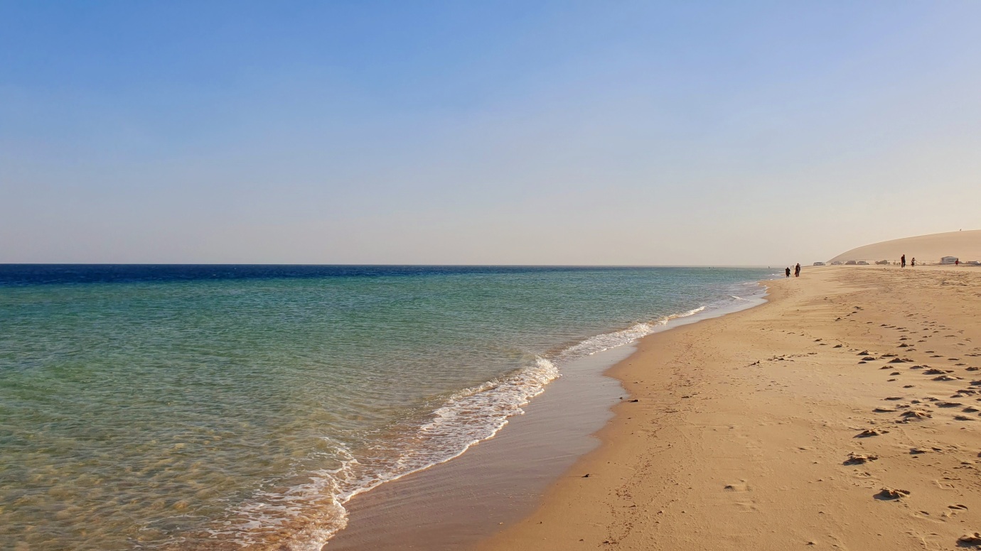 Best Tours & Travels Agency